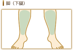 脚・下腿