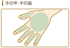 手の甲・手の指